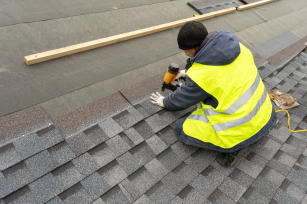 Best Roof Maintenance Services  in Spicer, MN